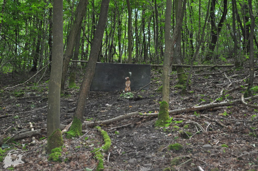 JBC-Vereinsmeisterschaft-2012-06-23 14-17-12