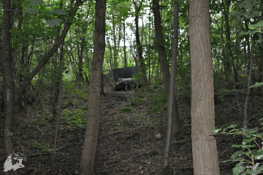 JBC-Vereinsmeisterschaft-2012-06-23 14-51-51