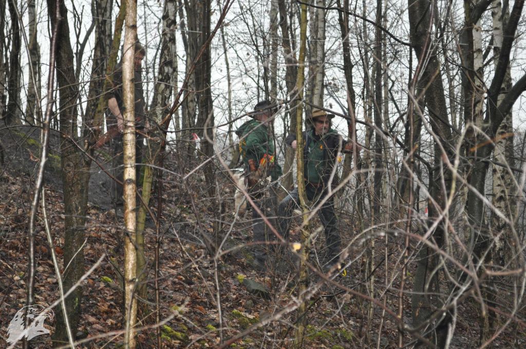 JBC-Turnier-2013-03-09 10-23-26