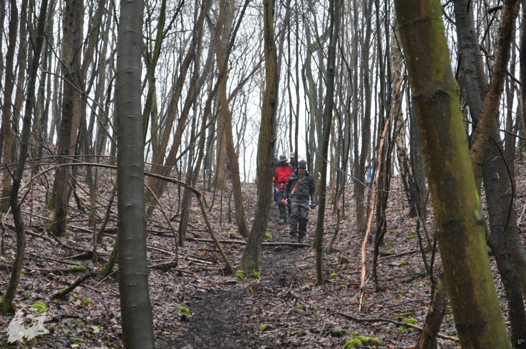 JBC-Turnier-2013-03-09 10-59-39