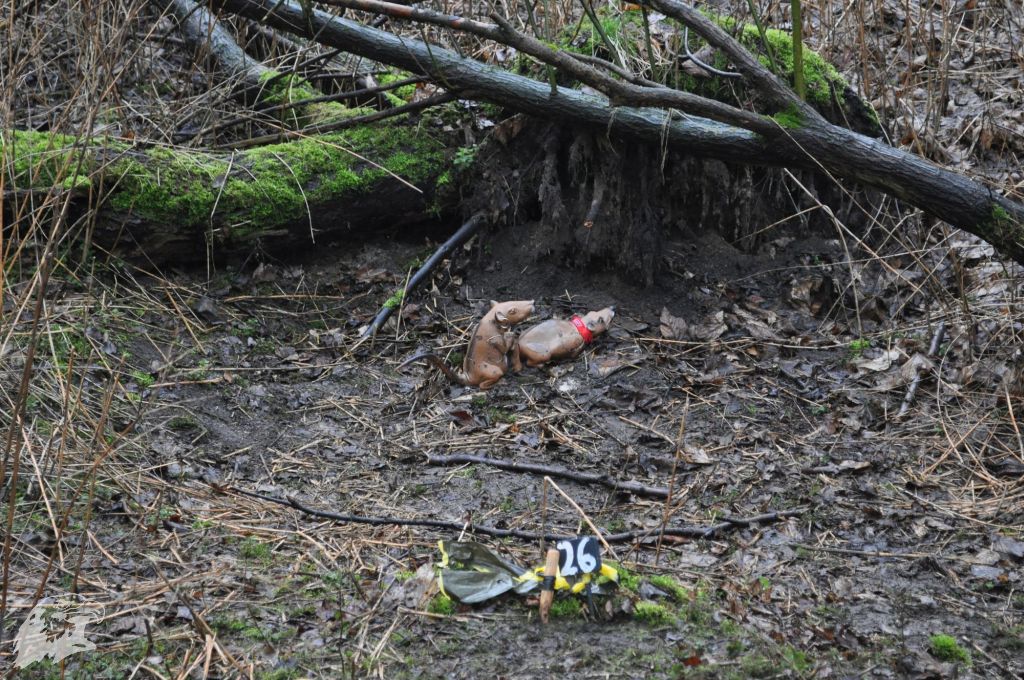 JBC-Turnier-2013-03-09 11-05-27