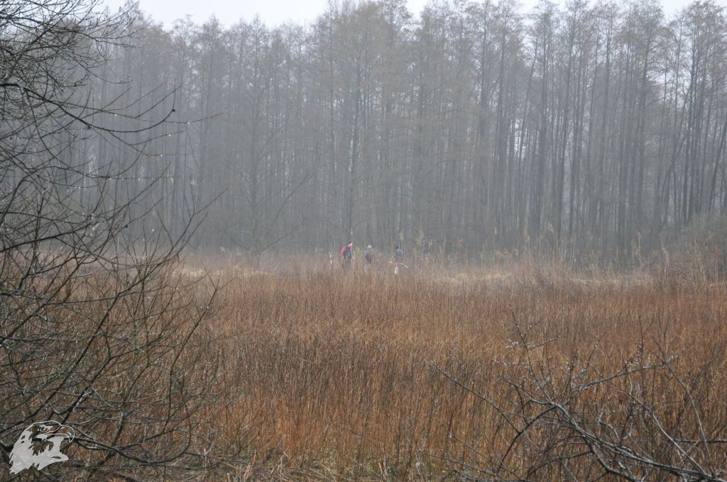 JBC-Turnier-2013-03-09 11-06-03