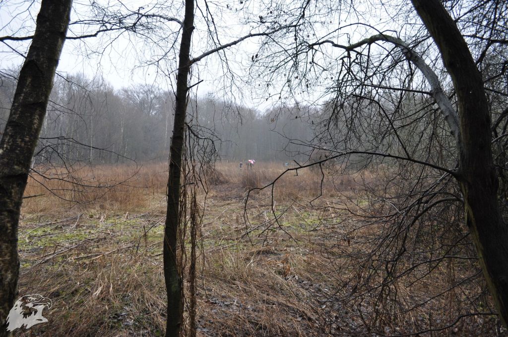 JBC-Turnier-2013-03-09 11-11-06