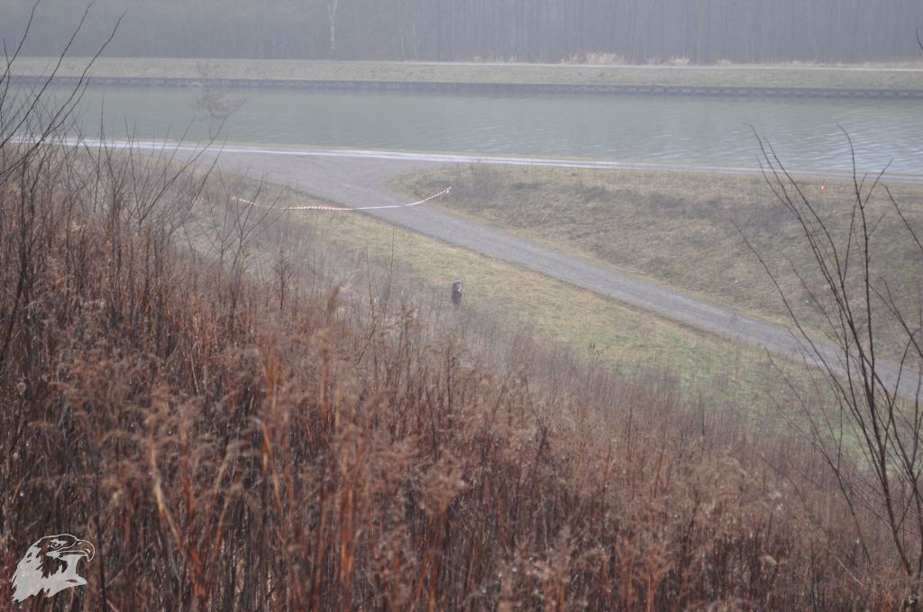 JBC-Turnier-2013-03-09 11-19-36