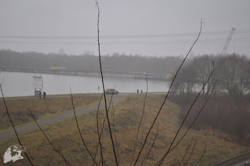 JBC-Turnier-2013-03-09 11-20-02