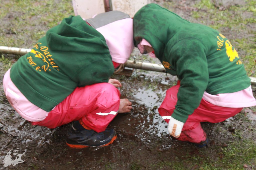 JBC-Turnier-2013-03-09 13-17-28