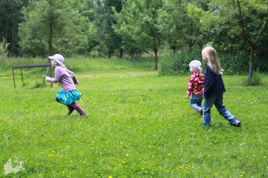 JBC-Vereinsmeisterschaft-2013-06-14 14-20-17