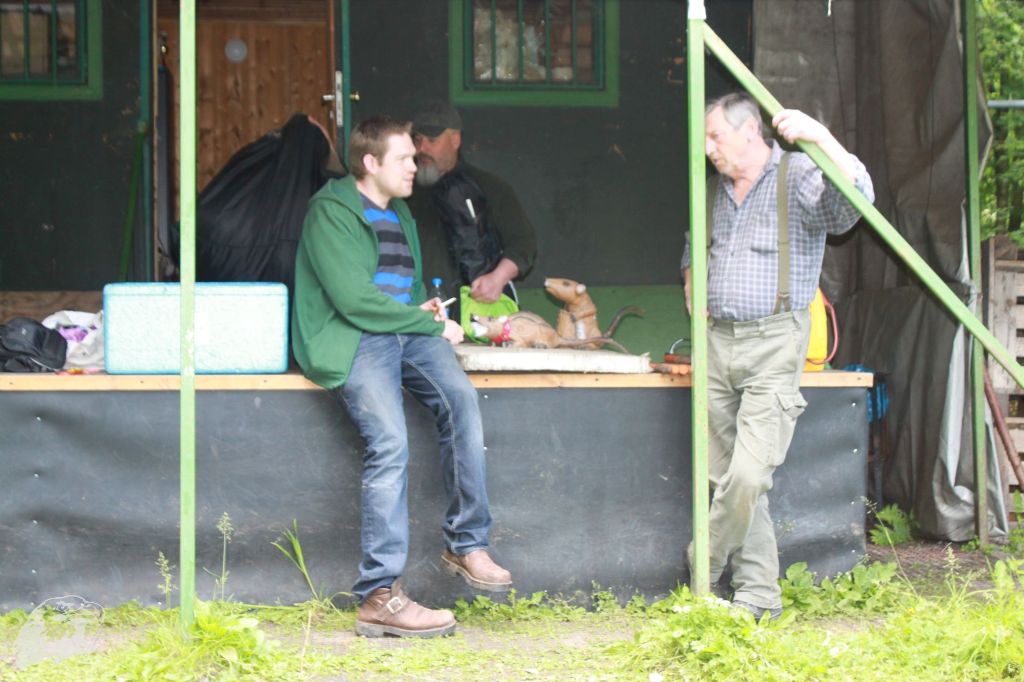 JBC-Vereinsmeisterschaft-2013-06-14 14-20-26