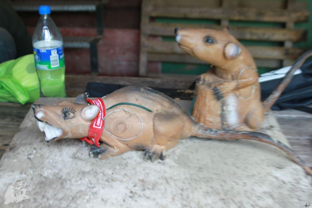 JBC-Vereinsmeisterschaft-2013-06-14 14-27-08