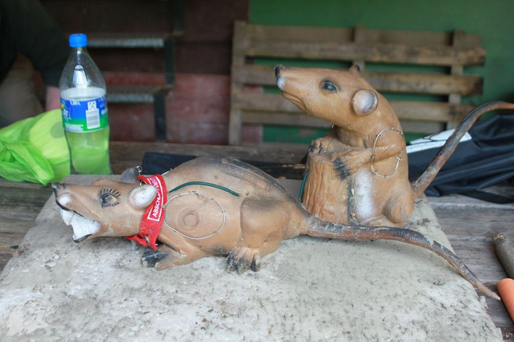 JBC-Vereinsmeisterschaft-2013-06-14 14-27-14