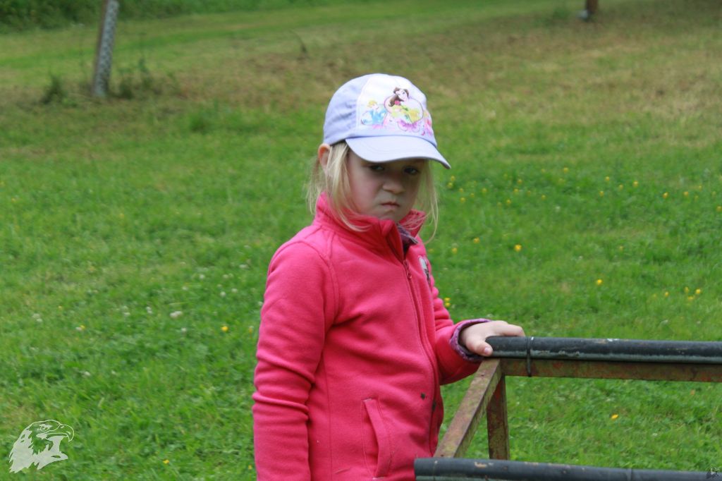 JBC-Vereinsmeisterschaft-2013-06-14 17-30-48