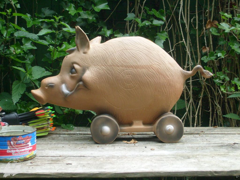 JBC-Vereinsmeisterschaft-2013-06-15 09-54-37