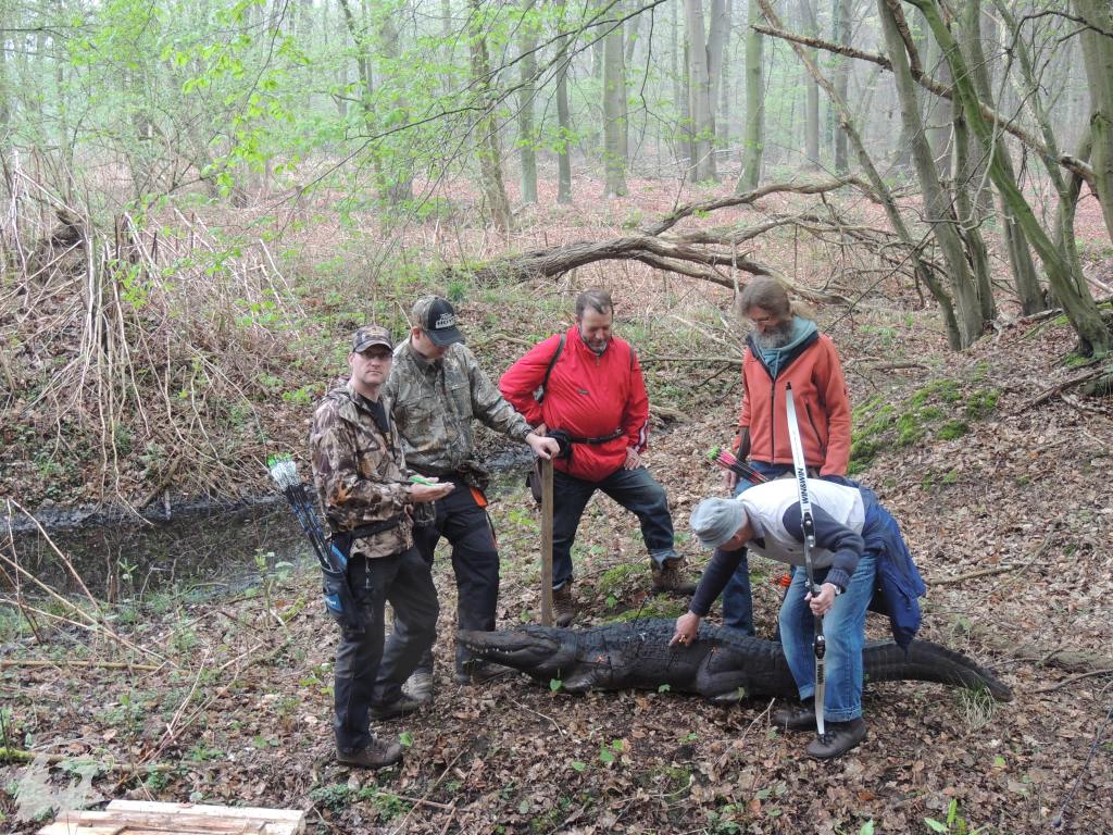 JBC-Turnier-2014-04-05 09-52-14