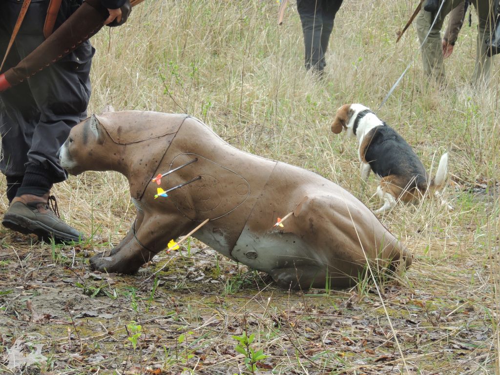 JBC-Turnier-2014-04-05 10-52-17