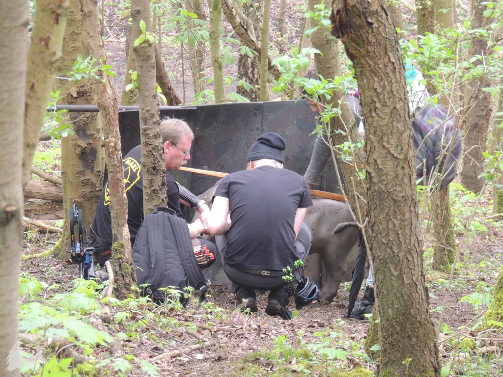 JBC-Turnier-2014-04-05 12-50-21