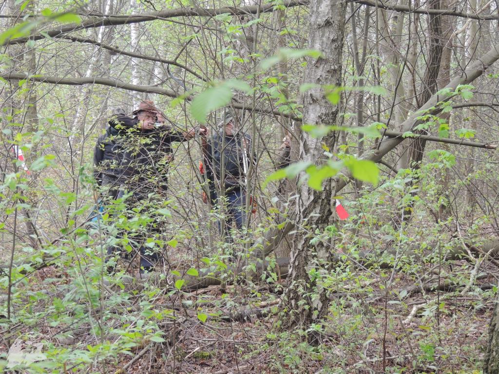 JBC-Turnier-2014-04-05 13-01-20