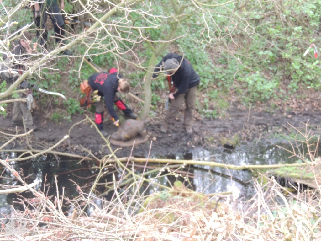 JBC-Turnier-2014-04-05 14-02-47