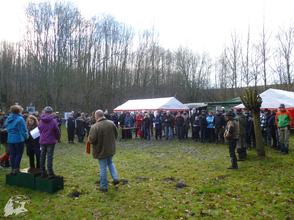 JBC-Turnier-2015-03-21 17-39-32