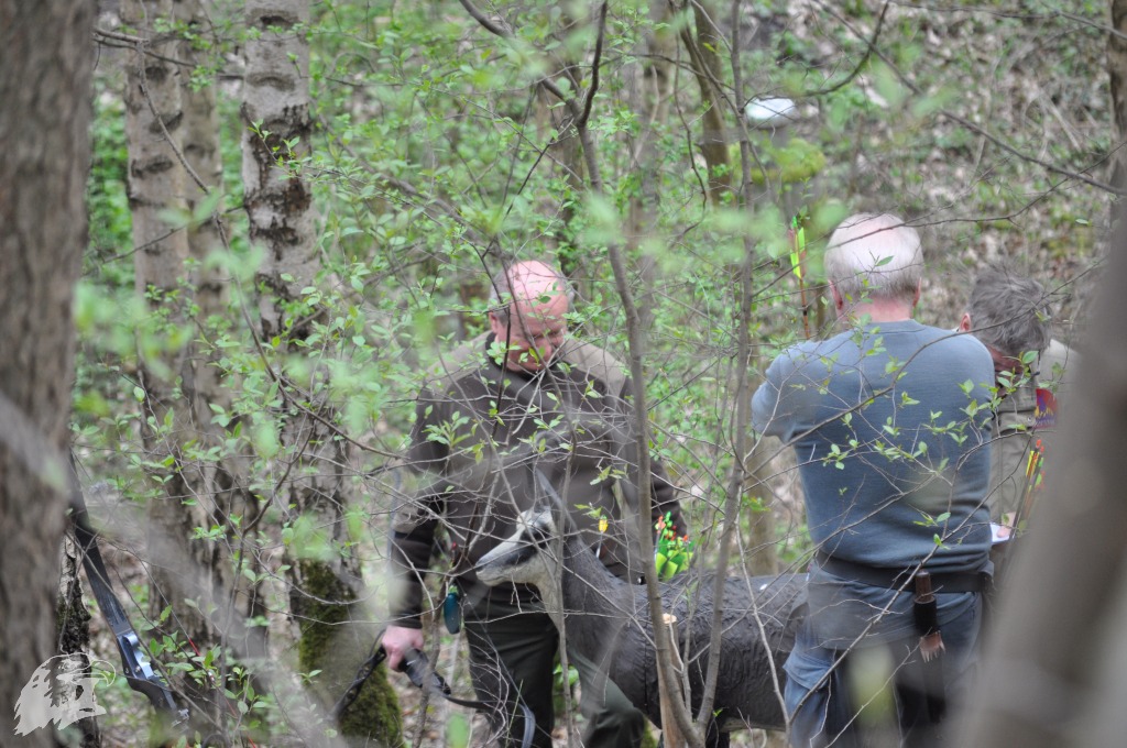 JBC-Turnier-2017-04-01 11-01-40