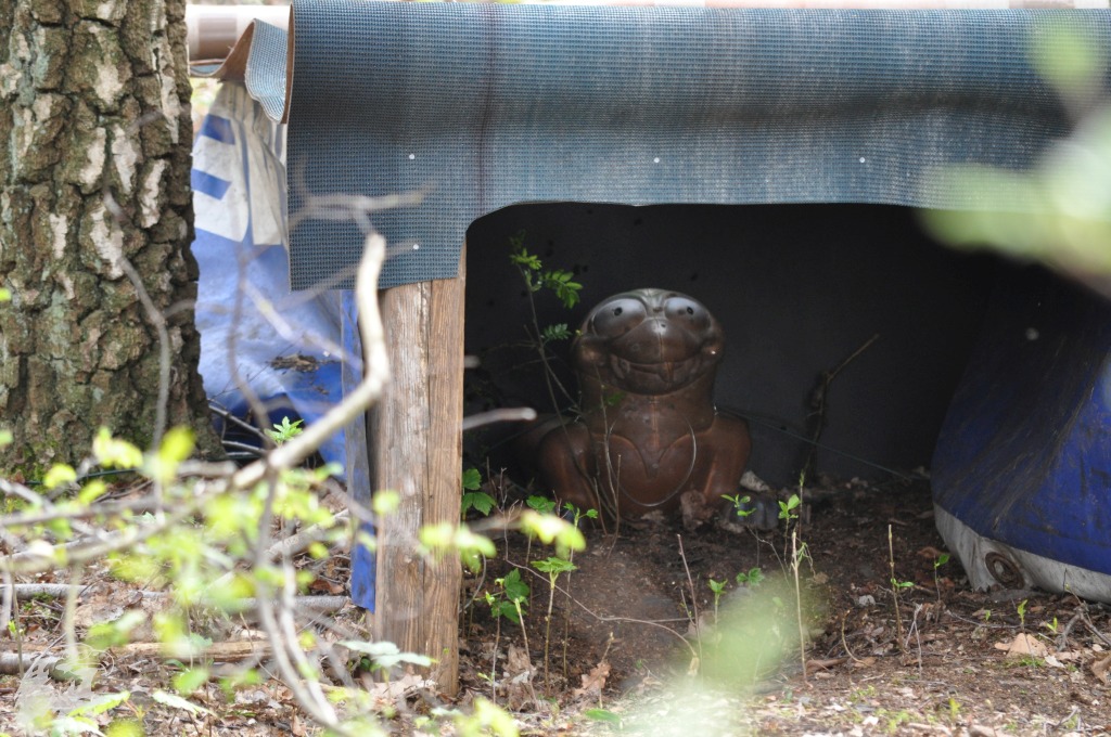 JBC-Turnier-2017-04-01 11-12-29