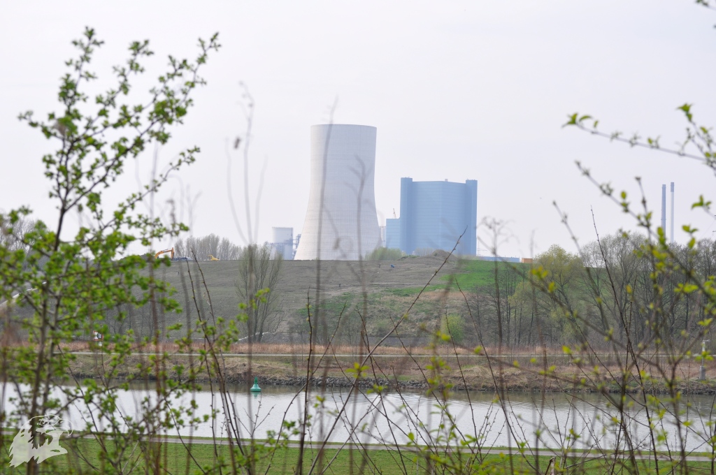 JBC-Turnier-2017-04-01 11-19-36