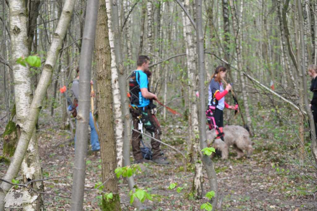 JBC-Turnier-2017-04-01 11-29-14