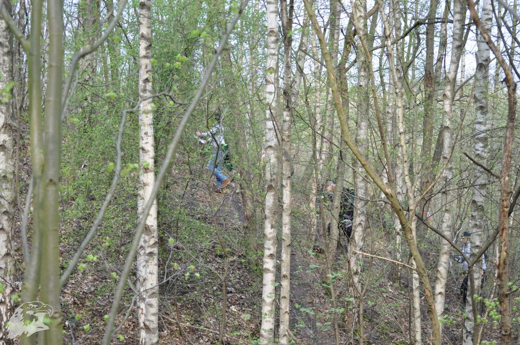 JBC-Turnier-2017-04-01 11-34-08