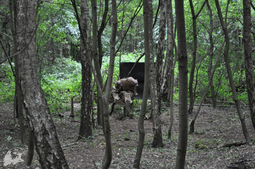 JBC-Vereinsmeisterschaft-2017-06-24 09-52-42