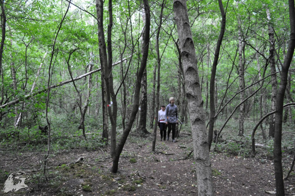 JBC-Vereinsmeisterschaft-2017-06-24 10-31-45