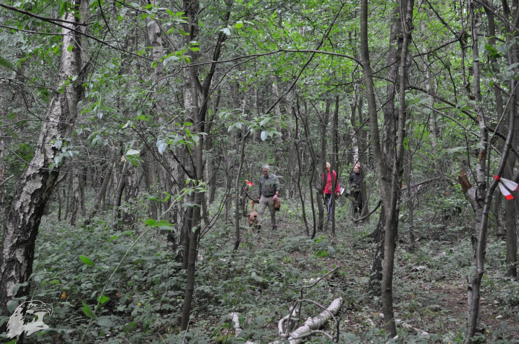 JBC-Vereinsmeisterschaft-2017-06-24 10-53-06