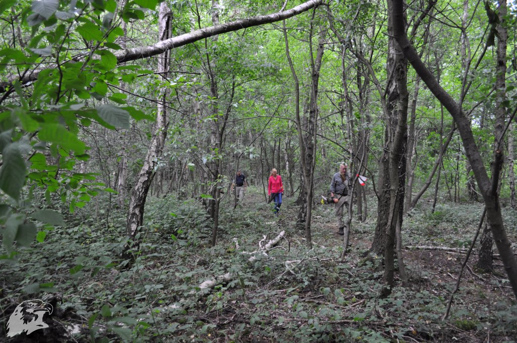 JBC-Vereinsmeisterschaft-2017-06-24 10-53-19