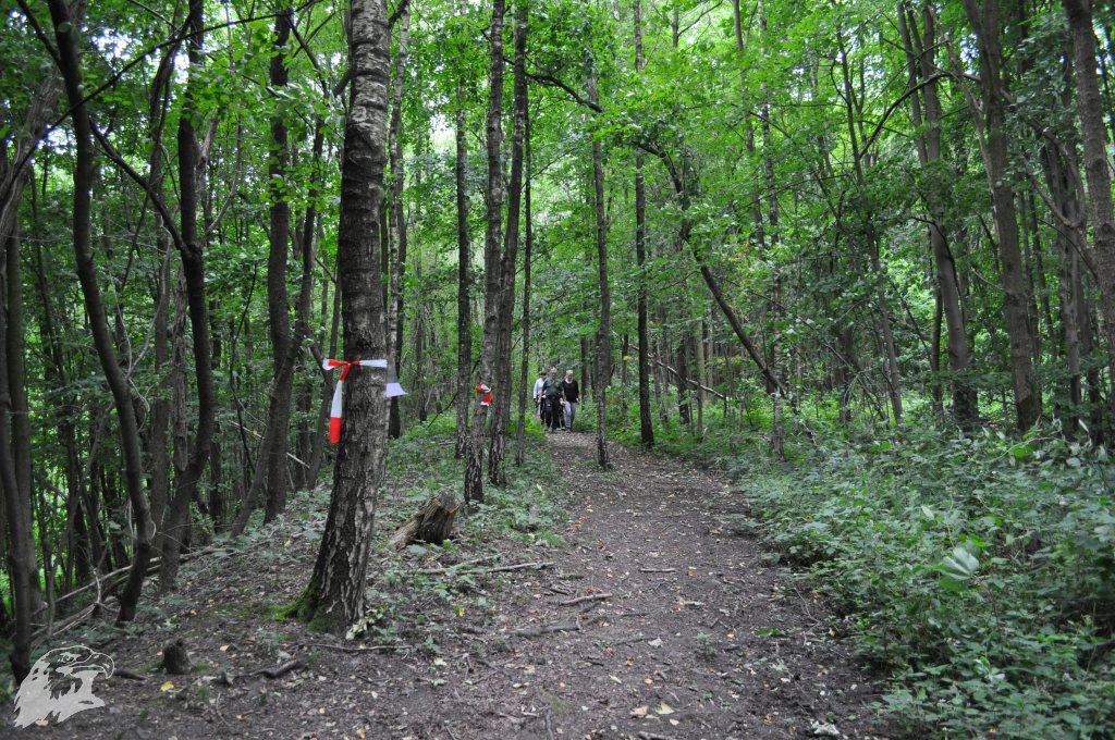 JBC-Vereinsmeisterschaft-2017-06-24 11-10-33