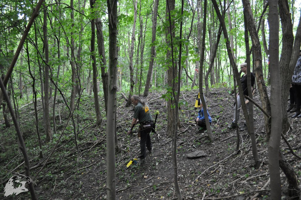 JBC-Vereinsmeisterschaft-2017-06-24 11-12-19
