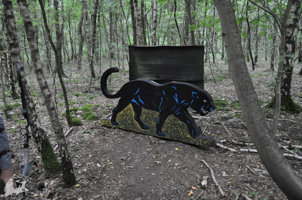 JBC-Vereinsmeisterschaft-2017-06-24 12-10-28